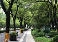 <b>不要在对话里，拆自己的台</b>