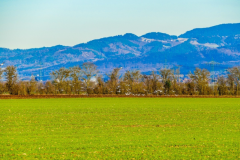 <strong>接受自己是平凡人，不等于可以放弃应有的努力</strong>