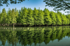 <strong>一定要懂得自愈，因为好起来的从来不是生活而</strong>