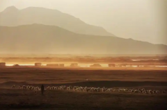 <strong>人的逐渐蜕变，脱不出时光的力量</strong>