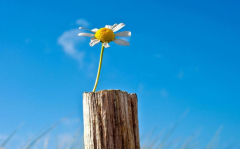 <strong>活在当下，享受现在</strong>