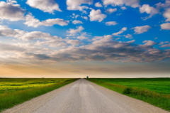 <strong>天上下雨地下滑，自己摔倒自己爬</strong>