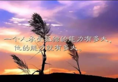 <strong>人生不会自发的改变，逼不得已才会成长</strong>