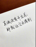 <strong>真诚如果开不了花，那就让它长满</strong>