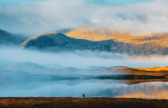 <strong>与其在别人的世界里求圆满，不如</strong>