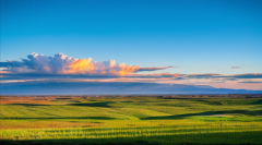 <strong>不要和别人一起欺负自己</strong>