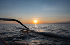 <strong>人生没有绝对正确的选择，但要让选择变得正确</strong>