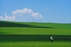 <strong>没有无心之失，只有权衡之后的选</strong>