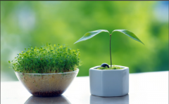 <strong>人生需要适时“归零”</strong>