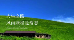 <strong>带着困难向前走，本就是人生常态</strong>