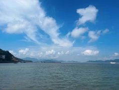 <strong>弱者易怒如虎，强者平静如水</strong>