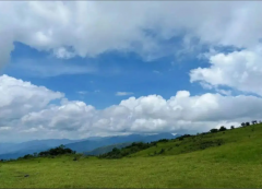 <strong>止语，是最高级的修养（三）</strong>